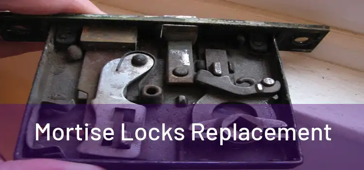 Mortise Locks Replacement