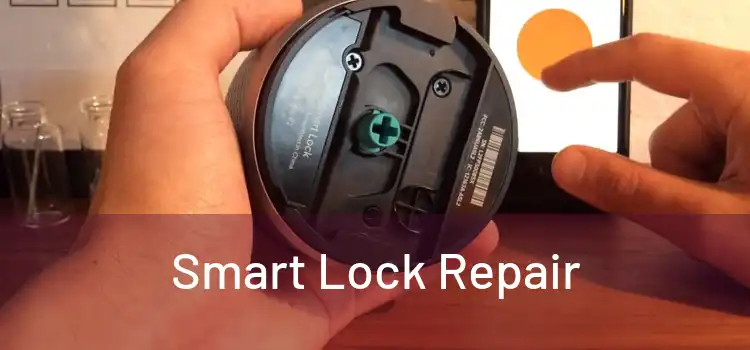 Smart Lock Repair